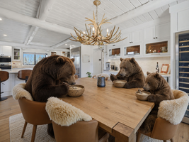 Bears in Bozeman: How to Bear-Proof Your Home & Property
