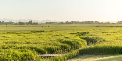 Veterans and Active-Military Resources in Bozeman, MT | Local Support & Nonprofits