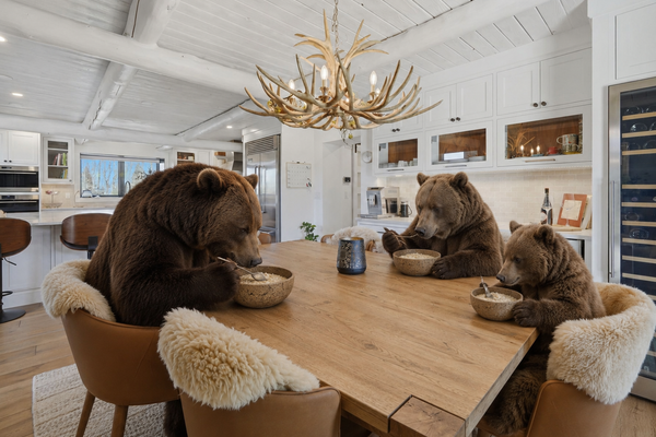 Bears in Bozeman: How to Bear-Proof Your Home & Property