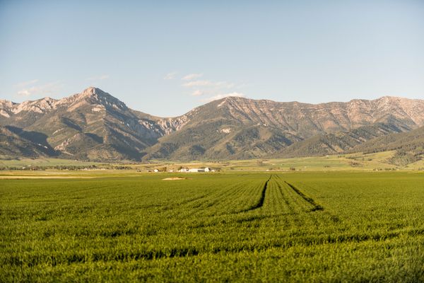 Montana Land for Sale | Bozeman Acreage, Ranches & Buildable Property