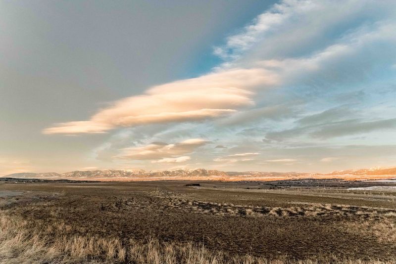 Sunset over Montana field