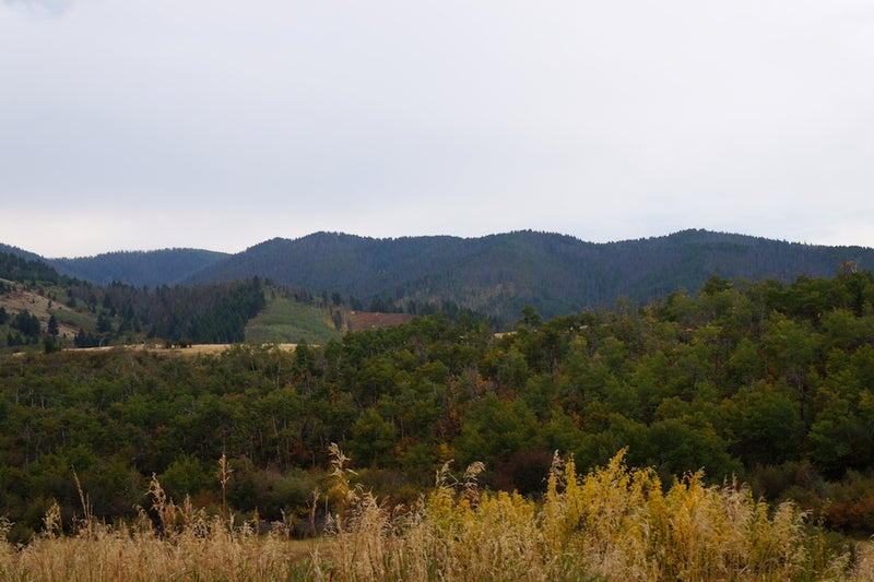 Untouched landscape in Triple Tree Ranch, MT