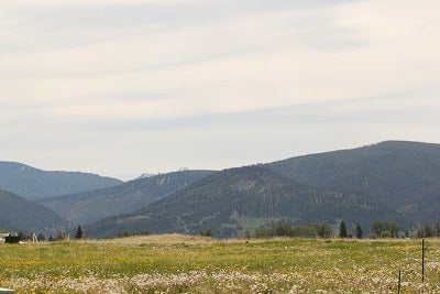 Large field and mountains