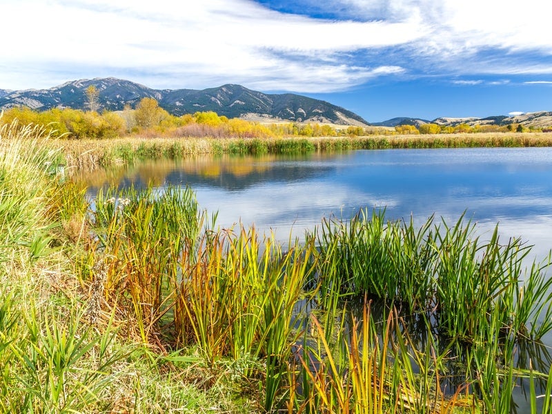 Blue skies over field and lake in Belgrade, MT