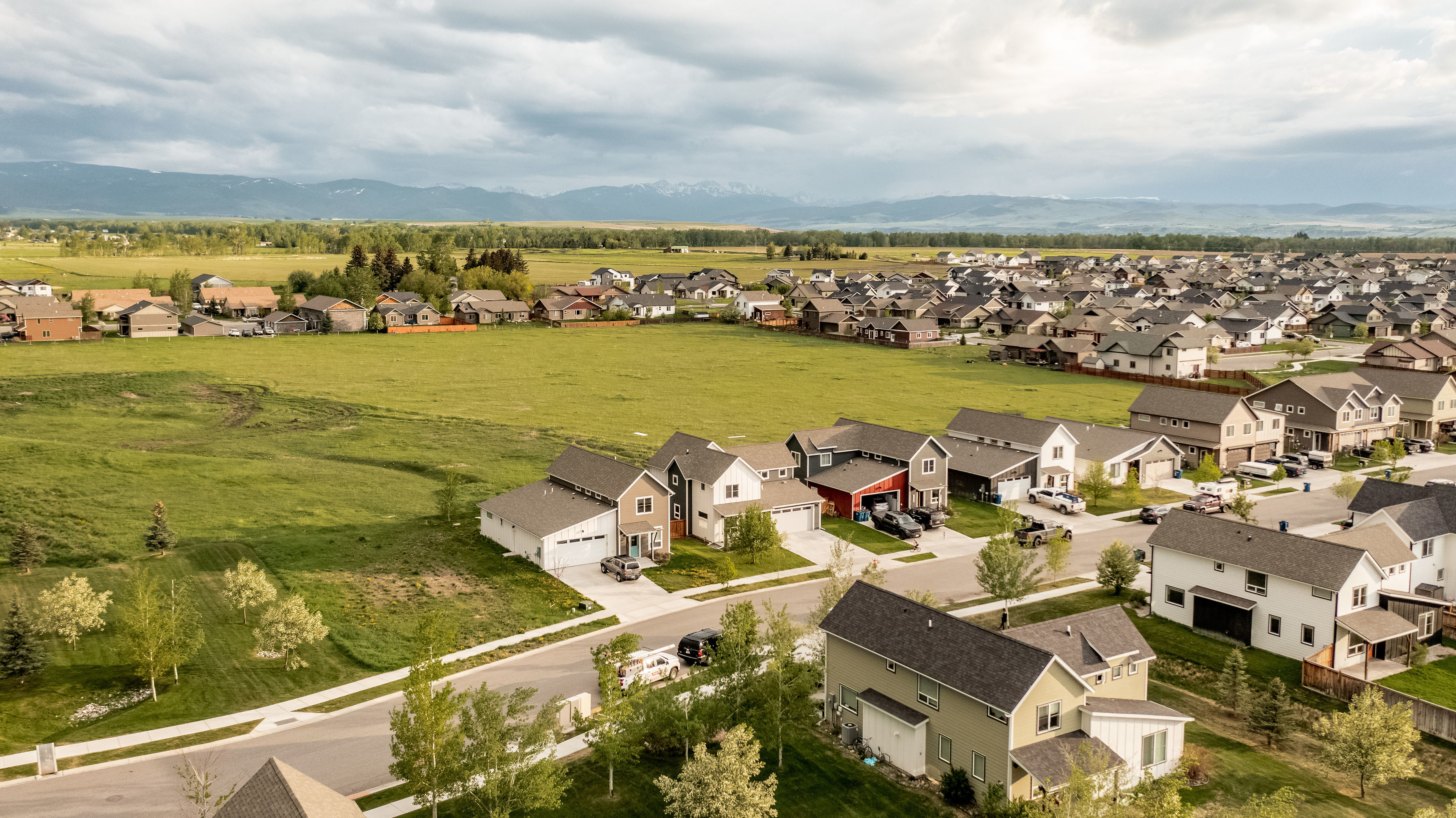 Client Success Stories From Tamara Williams and Company