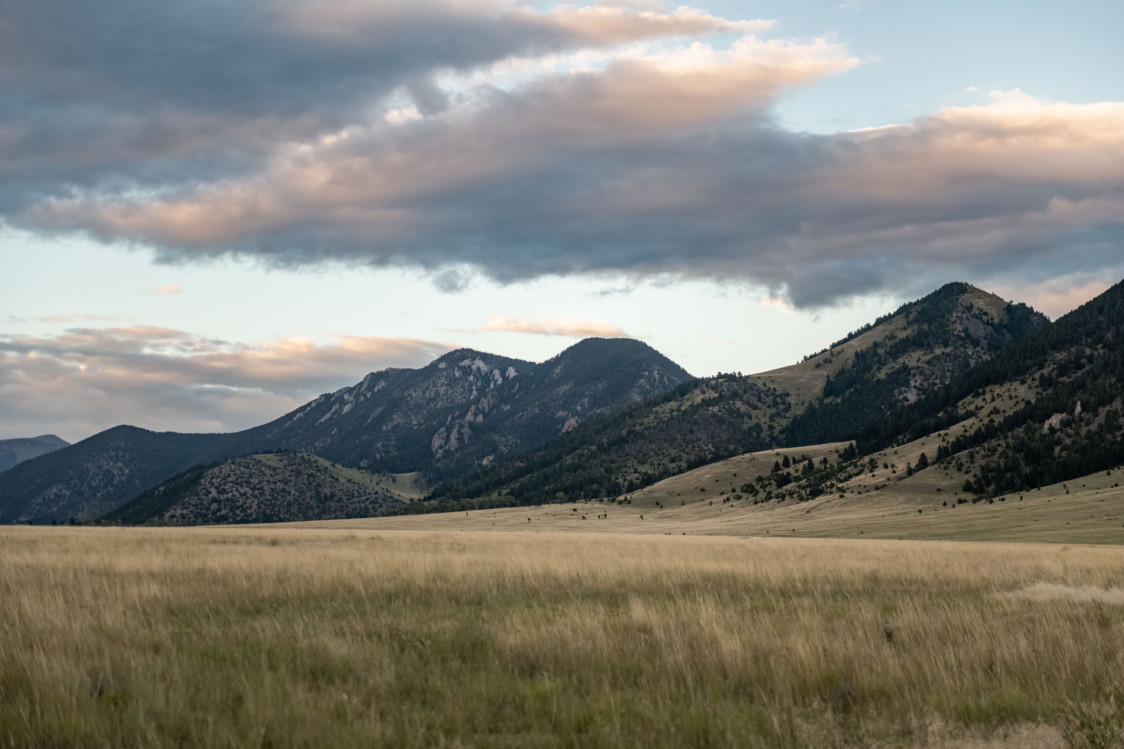 38 Elk Valley Road, Ennis, Montana