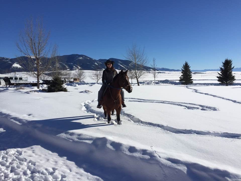 Horse Properties in Gallatin County