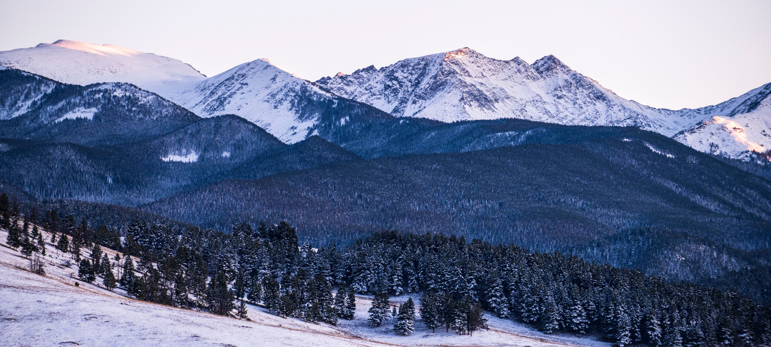 Snowy mountains and forest outside Bozeman, MT