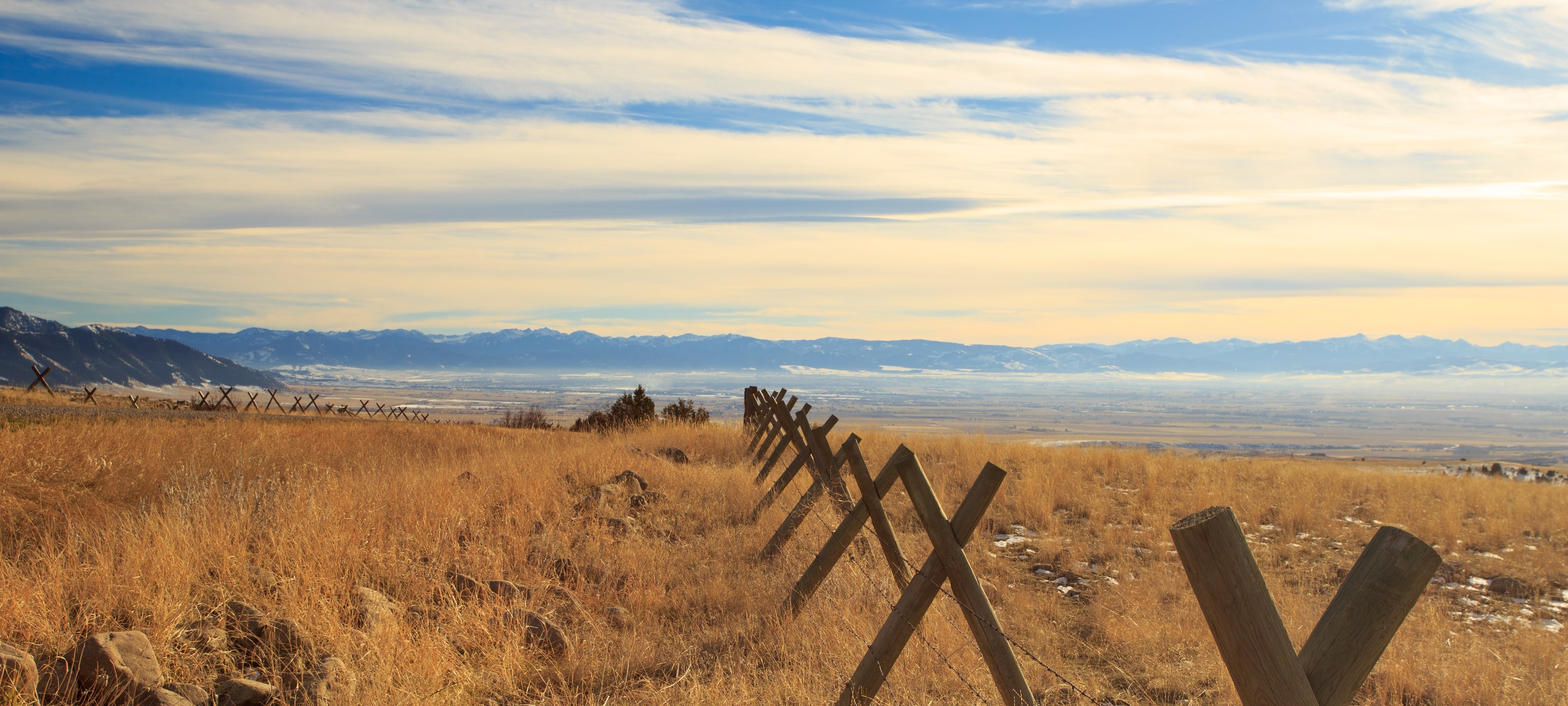 Grasses and mountains in a field outside of Bozeman, MT
