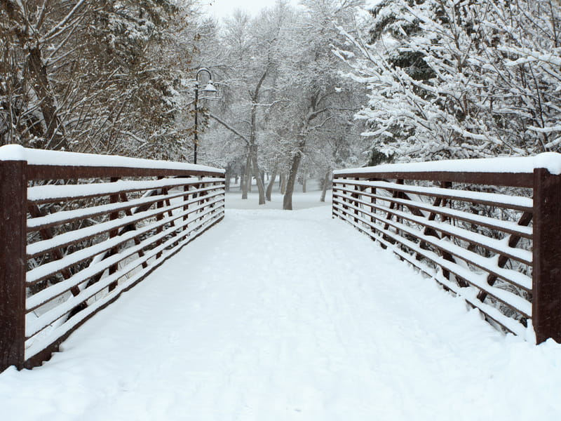 Lindley Park bridge during the snow